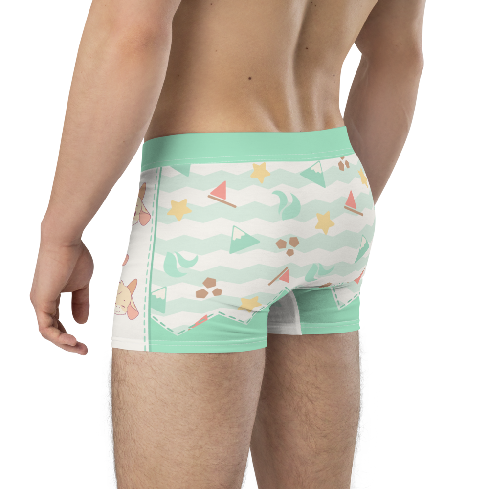 Nicey Hills ToyTrunks - Trunk Briefs - PretendAgain