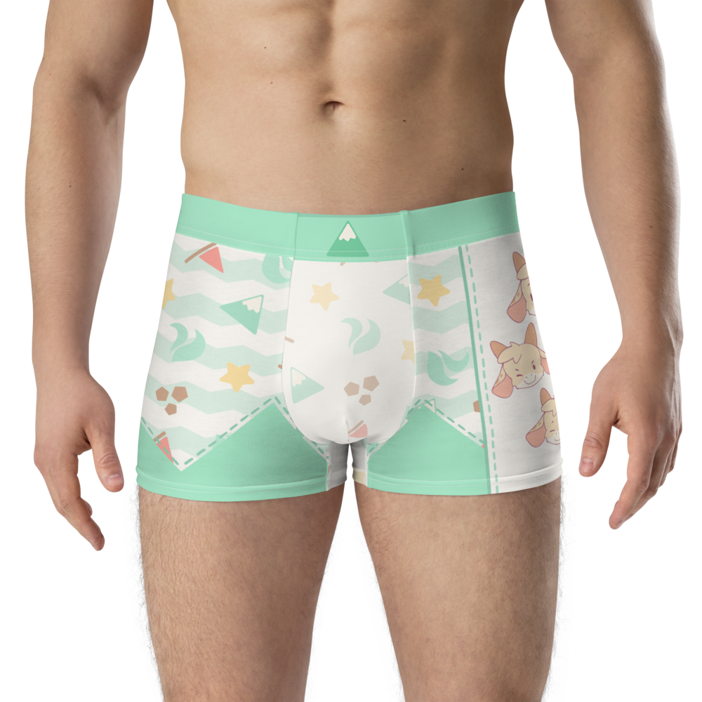 Nicey Hills ToyTrunks - Trunk Briefs - PretendAgain