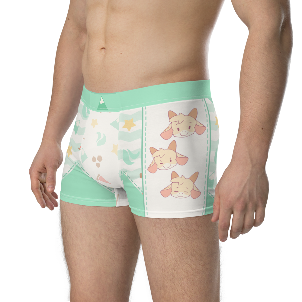 Nicey Hills ToyTrunks - Trunk Briefs - PretendAgain
