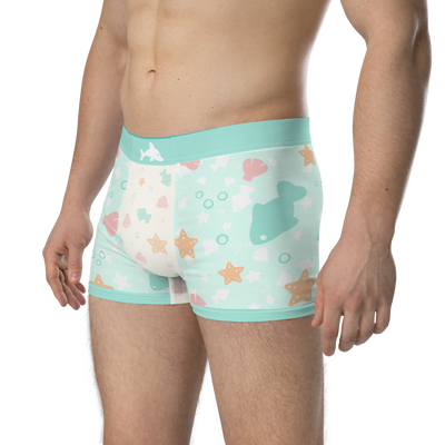 Lil Dolphin Bay ToyTrunks - Trunk Briefs - PretendAgain ✨