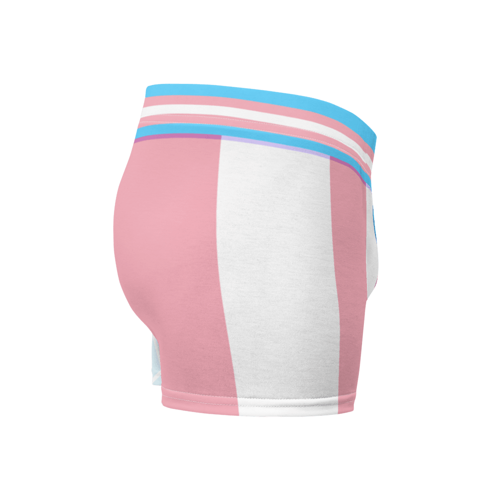 Transgender Toy Plush ToyTrunks (Blue) (Toy Pride - 2021) - Trunk Briefs - PretendAgain ✨